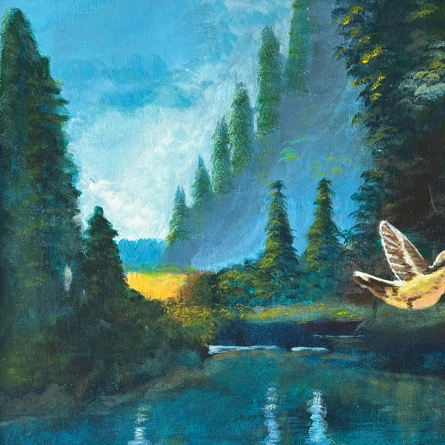The Quiet Wild