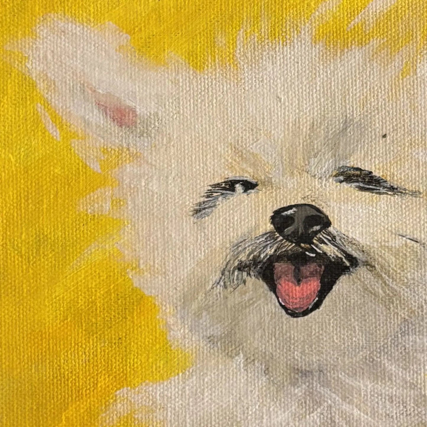 Jumping Joy!